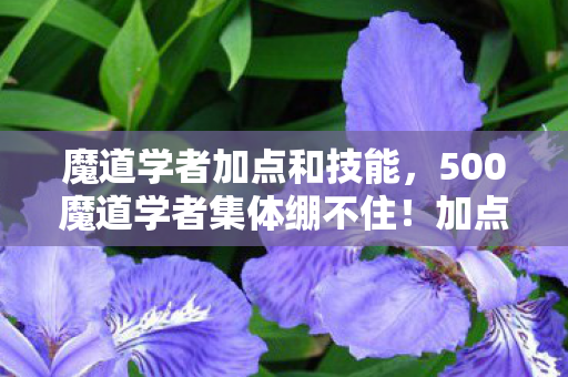 魔道学者加点和技能,500魔道学者集体绷不住!加点疑云,大神萌新竟为这事吵翻天? 魔道学者加点和技能,500魔道学者集体绷不住!加点疑云,大神萌新竟为这事吵翻天?