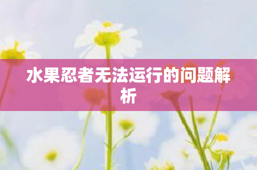 水果忍者无法运行的问题解析图片