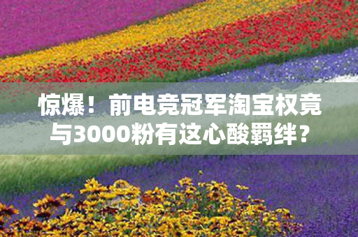 惊爆!前电竞冠军淘宝权竟与3000粉有这心酸羁绊? 惊爆!前电竞冠军淘宝权竟与3000粉有这心酸羁绊?