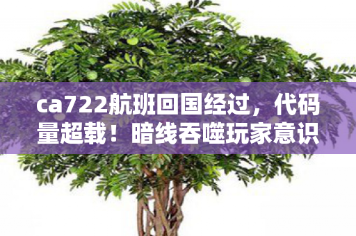ca722航班回国经过，代码量超载！暗线吞噬玩家意识，头皮发麻的赛博深渊已开启
