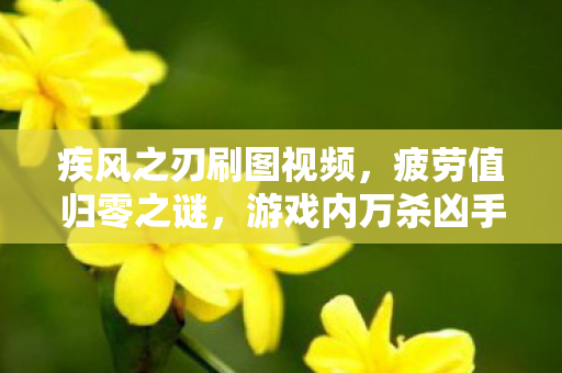 疾风之刃刷图视频,疲劳值归零之谜,游戏内万杀凶手的自我献祭悬案 疾风之刃刷图视频,疲劳值归零之谜,游戏内万杀凶手的自我献祭悬案