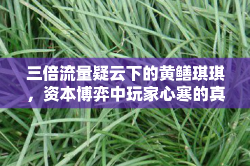 三倍流量疑云下的黄鳝琪琪,资本博弈中玩家心寒的真相 三倍流量疑云下的黄鳝琪琪,资本博弈中玩家心寒的真相