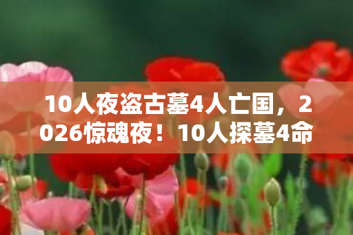 10人夜盗古墓4人亡国,2026惊魂夜!10人探墓4命殒,古墓暗藏何等致命玄机? 10人夜盗古墓4人亡国,2026惊魂夜!10人探墓4命殒,古墓暗藏何等致命玄机?