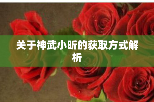 关于神武小昕的获取方式解析图片