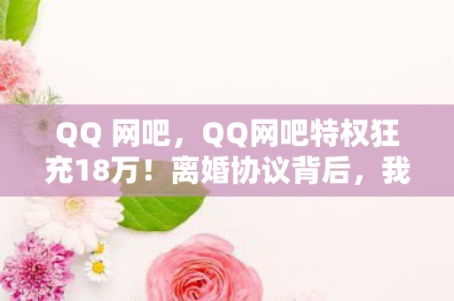QQ 网吧,QQ网吧特权狂充18万!离婚协议背后,我亲手拆家的惊天隐情! QQ 网吧,QQ网吧特权狂充18万!离婚协议背后,我亲手拆家的惊天隐情!