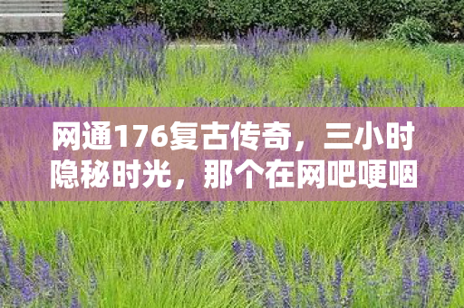 网通176复古传奇,三小时隐秘时光,那个在网吧哽咽着打传奇的少年,如今还在吗 网通176复古传奇,三小时隐秘时光,那个在网吧哽咽着打传奇的少年,如今还在吗