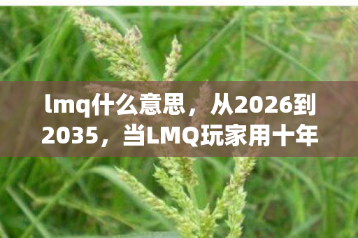 lmq什么意思，从2026到2035，当LMQ玩家用十年青春，揭开游戏最残酷的真相