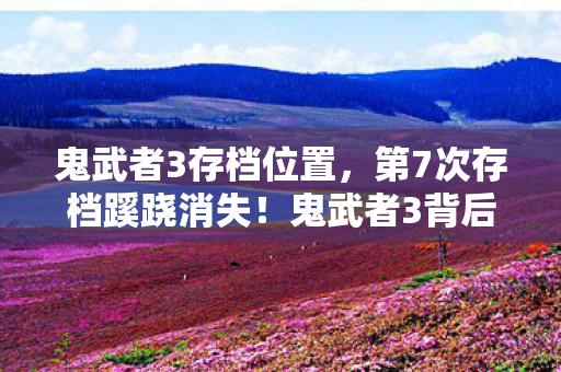 鬼武者3存档位置，第7次存档蹊跷消失！鬼武者3背后竟藏着后背发凉的真相
