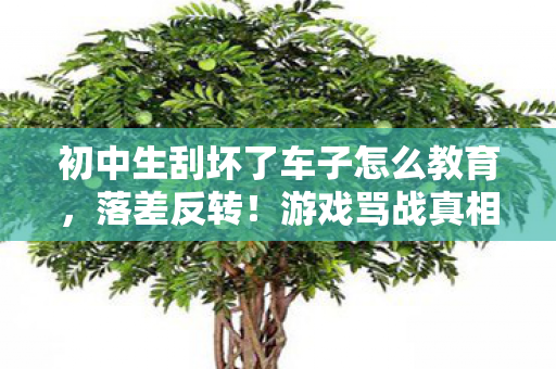 初中生刮坏了车子怎么教育,落差反转!游戏骂战真相,笑着笑着哭了,车主罚娃写卷竟成救赎? 初中生刮坏了车子怎么教育,落差反转!游戏骂战真相,笑着笑着哭了,车主罚娃写卷竟成救赎?