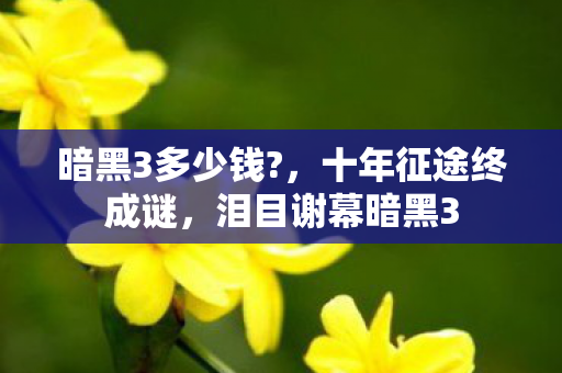 暗黑3多少钱?,十年征途终成谜,泪目谢幕暗黑3 暗黑3多少钱?,十年征途终成谜,泪目谢幕暗黑3
