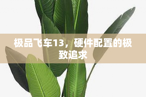 硬件配置的极致追求图片