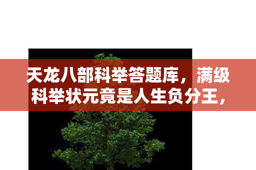 天龙八部科举答题库,满级科举状元竟是人生负分王,虚拟荣耀与现实荒芜的终极悖论 天龙八部科举答题库,满级科举状元竟是人生负分王,虚拟荣耀与现实荒芜的终极悖论