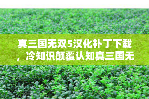 真三国无双5汉化补丁下载，冷知识颠覆认知真三国无双5汉化补丁竟藏惊天秘密，十年玩家目瞪口呆！