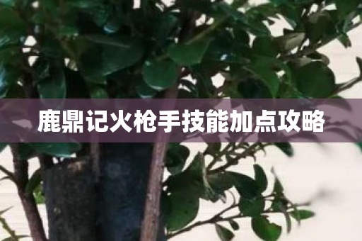 鹿鼎记火枪手技能加点攻略图片