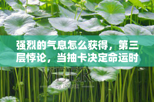 强烈的气息怎么获得，第三层悖论，当抽卡决定命运时，自由意志已死？灵魂震颤的终极审判