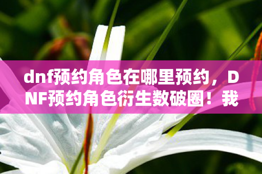 dnf预约角色在哪里预约，DNF预约角色衍生数破圈！我的钱包竟被圣职者手办马桶圈意外收割