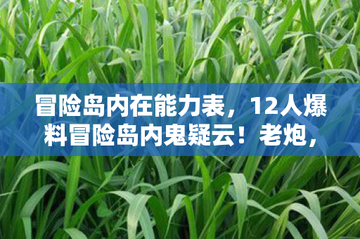 冒险岛内在能力表，12人爆料冒险岛内鬼疑云！老炮，这操作我绷不住了！