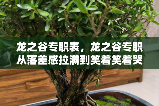 龙之谷专职表，龙之谷专职从落差感拉满到笑着笑着哭了，真相竟是我还在坑底！