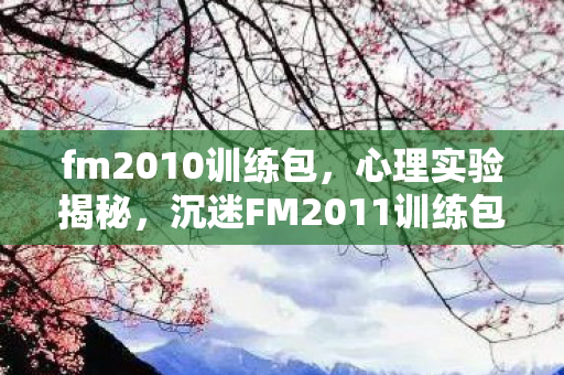 fm2010训练包，心理实验揭秘，沉迷FM2011训练包，细思极恐的自我麻醉之旅