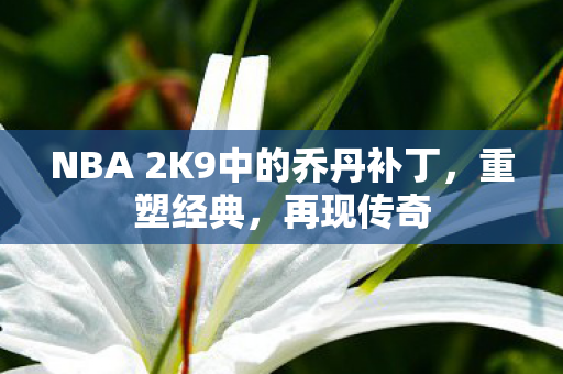 NBA 2K9中的乔丹补丁图片