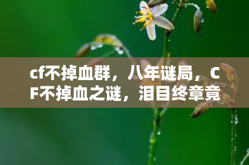 cf不掉血群,八年谜局,CF不掉血之谜,泪目终章竟藏惊天秘密 cf不掉血群,八年谜局,CF不掉血之谜,泪目终章竟藏惊天秘密