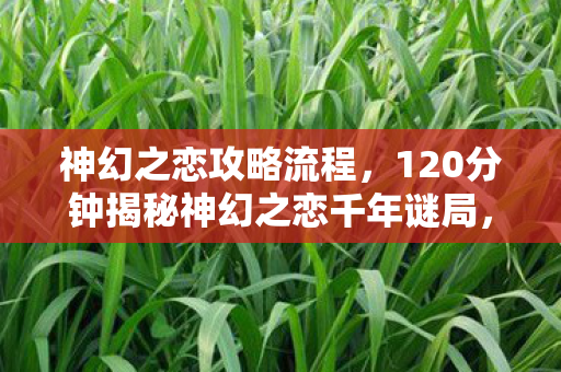 神幻之恋攻略流程，120分钟揭秘神幻之恋千年谜局，当NPC死亡时间线撞碎玩家泪腺