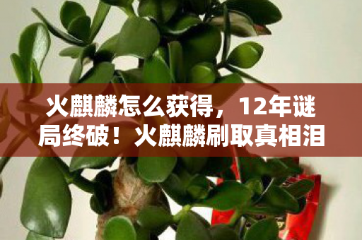 火麒麟怎么获得，12年谜局终破！火麒麟刷取真相泪目揭晓
