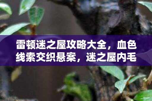 雷顿迷之屋攻略大全，血色线索交织悬案，迷之屋内毛骨悚然真相待揭