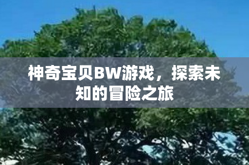 探索未知的冒险之旅图片