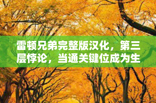 雷顿兄弟完整版汉化，第三层悖论，当通关键位成为生死判决，我的灵魂在像素中震颤