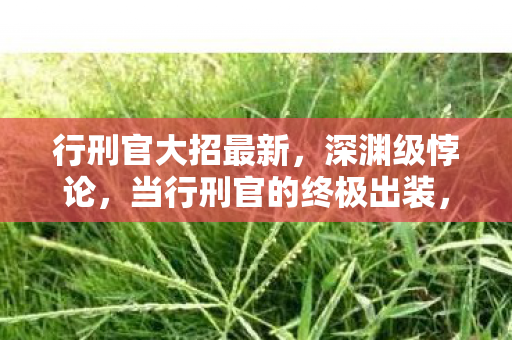行刑官大招最新,深渊级悖论,当行刑官的终极出装,斩碎了我人生的最后一道防线 行刑官大招最新,深渊级悖论,当行刑官的终极出装,斩碎了我人生的最后一道防线