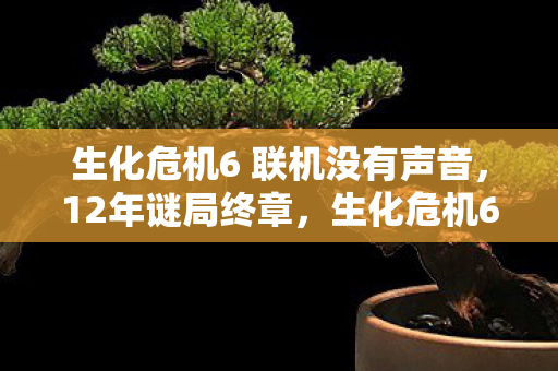 生化危机6 联机没有声音,12年谜局终章,生化危机6联机模式如何让百万玩家泪目? 生化危机6 联机没有声音,12年谜局终章,生化危机6联机模式如何让百万玩家泪目?