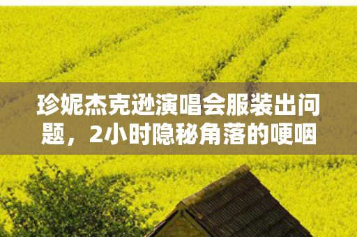 珍妮杰克逊演唱会服装出问题,2小时隐秘角落的哽咽,那些年我们追过的珍妮杰克逊演唱会 珍妮杰克逊演唱会服装出问题,2小时隐秘角落的哽咽,那些年我们追过的珍妮杰克逊演唱会