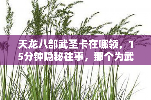 天龙八部武圣卡在哪领，15分钟隐秘往事，那个为武圣卡哽咽的深夜，你还记得吗？