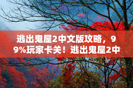 逃出鬼屋2中文版攻略,99%玩家卡关!逃出鬼屋2中文版,当狂喜撞碎成满地绝望碎片 逃出鬼屋2中文版攻略,99%玩家卡关!逃出鬼屋2中文版,当狂喜撞碎成满地绝望碎片