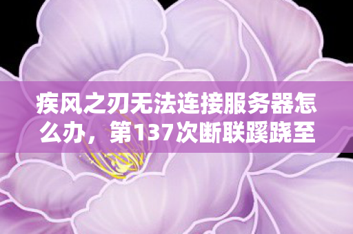 疾风之刃无法连接服务器怎么办，第137次断联蹊跷至极，后背发凉的十年逃亡真相