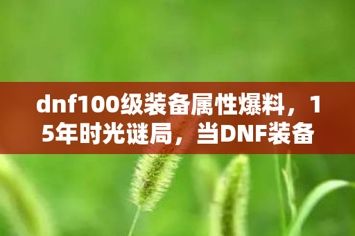 dnf100级装备属性爆料，15年时光谜局，当DNF装备库亮起最后一盏灯，泪目真相竟藏于此