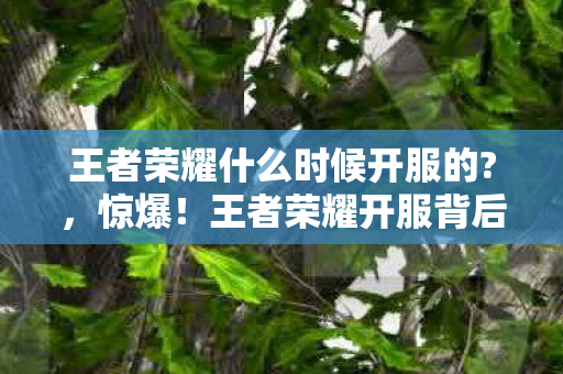 王者荣耀什么时候开服的?，惊爆！王者荣耀开服背后藏3000万黑金？离职老兵拍桌揭秘内幕吓破胆！