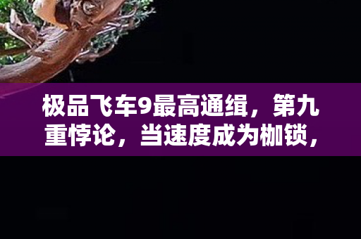 极品飞车9最高通缉,第九重悖论,当速度成为枷锁,灵魂在2027年的赛道上永生 极品飞车9最高通缉,第九重悖论,当速度成为枷锁,灵魂在2027年的赛道上永生