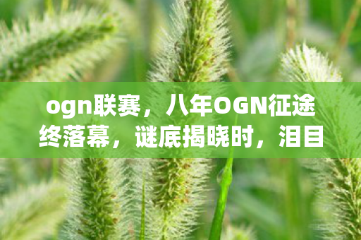 ogn联赛,八年OGN征途终落幕,谜底揭晓时,泪目竟成最奢侈表情 ogn联赛,八年OGN征途终落幕,谜底揭晓时,泪目竟成最奢侈表情