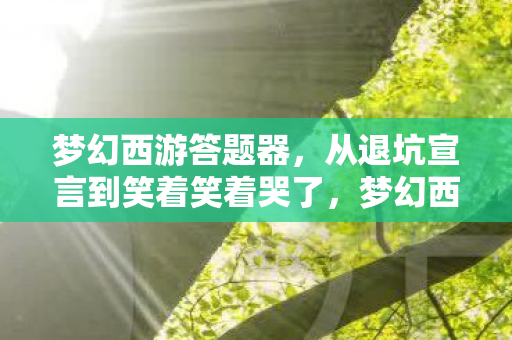 梦幻西游答题器，从退坑宣言到笑着笑着哭了，梦幻西游答题背后的落差真相