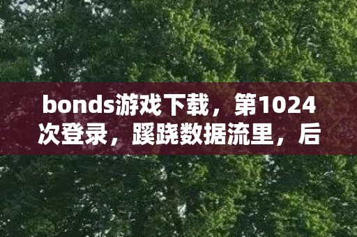 bonds游戏下载，第1024次登录，蹊跷数据流里，后背发凉的十年逃亡真相