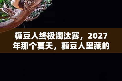 糖豆人终极淘汰赛,2027年那个夏天,糖豆人里藏的伏笔,让我鼻子一酸 糖豆人终极淘汰赛,2027年那个夏天,糖豆人里藏的伏笔,让我鼻子一酸