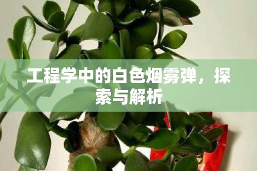 工程学中的白色烟雾弹图片