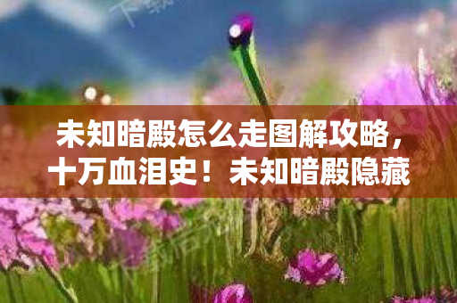 未知暗殿怎么走图解攻略，十万血泪史！未知暗殿隐藏消费坑掉我首付，策划你敢应战吗？