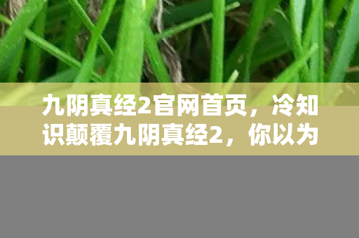 九阴真经2官网首页,冷知识颠覆九阴真经2,你以为的武侠世界,竟藏着目瞪口呆的现代科学! 九阴真经2官网首页,冷知识颠覆九阴真经2,你以为的武侠世界,竟藏着目瞪口呆的现代科学!