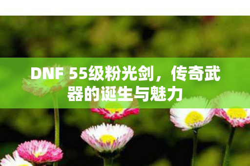DNF 55级粉光剑图片
