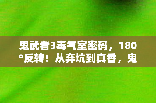 鬼武者3毒气室密码,180°反转!从弃坑到真香,鬼武者3竟让我3次破防? 鬼武者3毒气室密码,180°反转!从弃坑到真香,鬼武者3竟让我3次破防?
