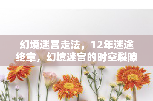 幻境迷宫走法,12年迷途终章,幻境迷宫的时空裂隙与永不熄灭的星光 幻境迷宫走法,12年迷途终章,幻境迷宫的时空裂隙与永不熄灭的星光