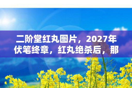 二阶堂红丸图片，2027年伏笔终章，红丸绝杀后，那句别走让我鼻子一酸